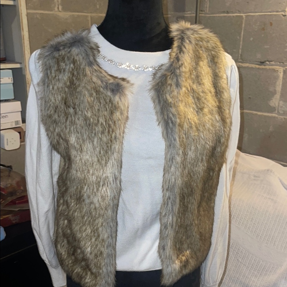 Faux Fur Vest in Gray